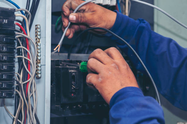 Best Residential Electrician Services  in Owosso, MI